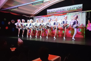2023-11-Proklamationssitzung/DSC_9672.jpg