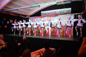 2023-11-Proklamationssitzung/DSC_9602.jpg